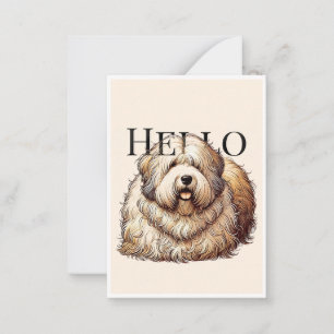 "Hello" note card. Card