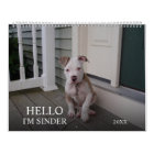 Hello Pet Puppy Custom