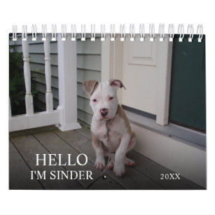 Hello Pet Puppy Custom Calendar