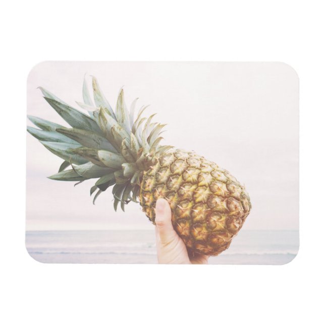 Hello pineapple magnet (Horizontal)