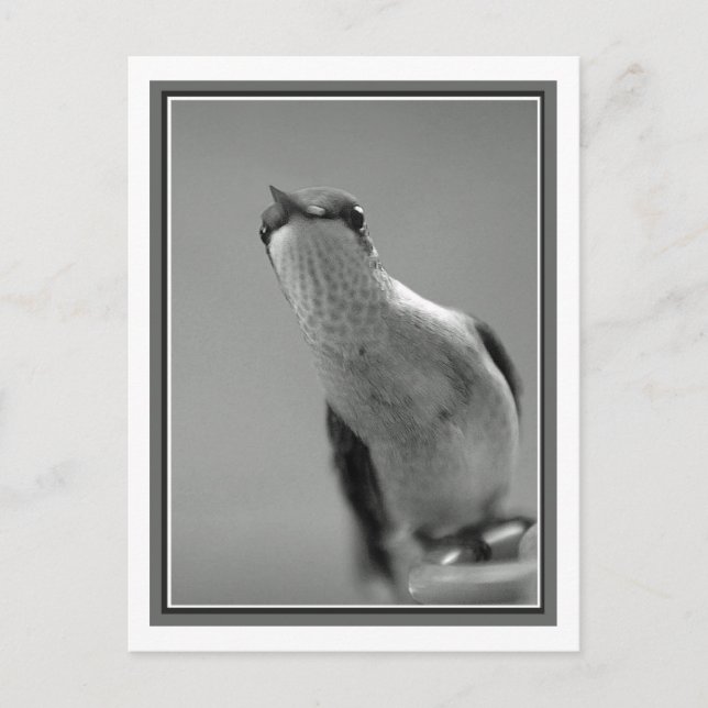 Hello Postcard (Front)