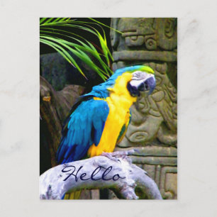 Hello_Postcard Postcard