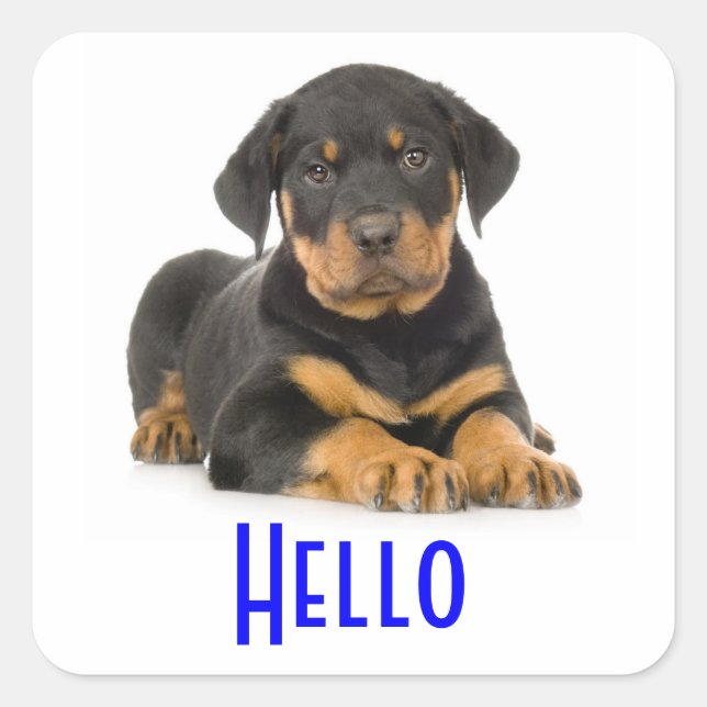 Hello Rottweiler Puppy Dog Greeting Stickers (Front)