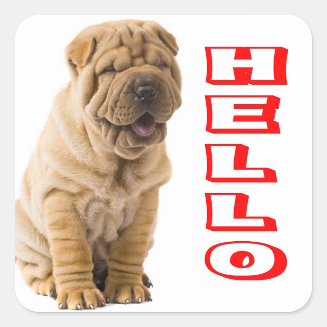 Hello Shar Pei Puppy Dog Sticker / Seals (Front)