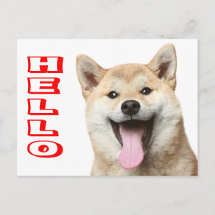 Hello Shiba Inu Puppy Dog Greeting Post Card