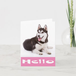 Hello Siberian Husky Puppy Dog Blank Note Card