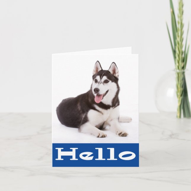 Hello Siberian Husky Puppy Dog Blank Note Card (Front)