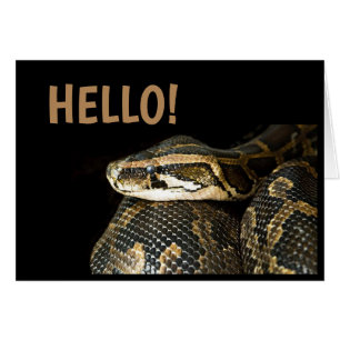 "HELLO"/ Snake, Blank Greeting Card