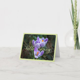 "Hello Spring" and Crocuses Folded Greeting Card
