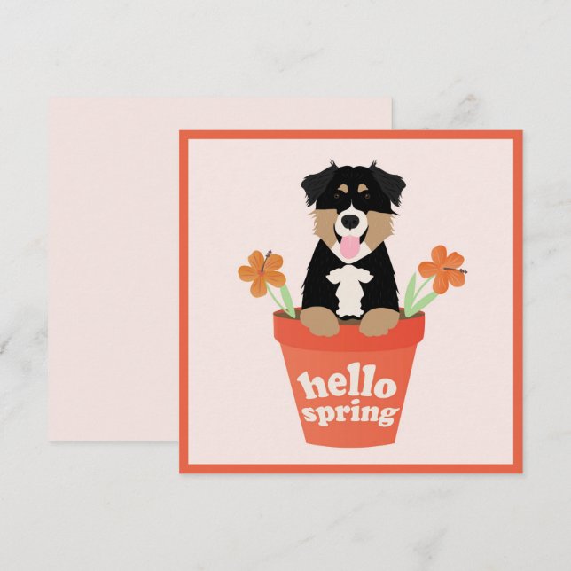 Hello Spring Australian Shepherd Dog In Flower Pot Card (Front/Back)