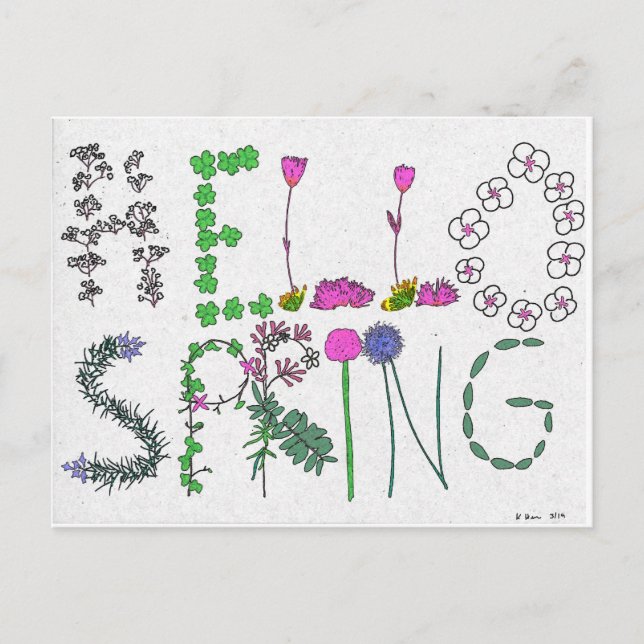 Hello Spring Flower Postcard (Front)