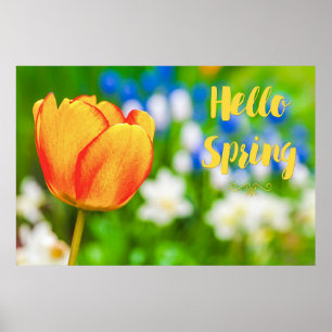 Hello Spring! Poster