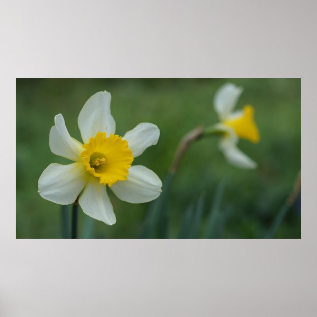 Hello Spring! Poster (Front)