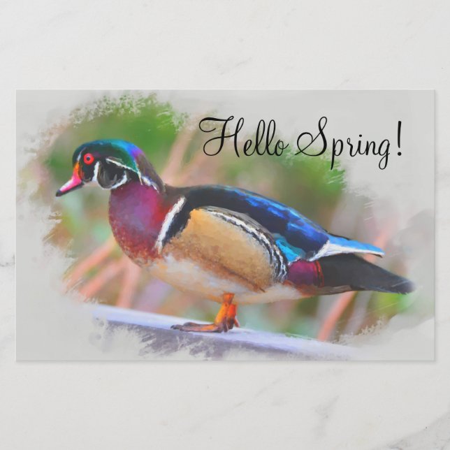 Hello Spring! with Wood Duck Stationery (Front)