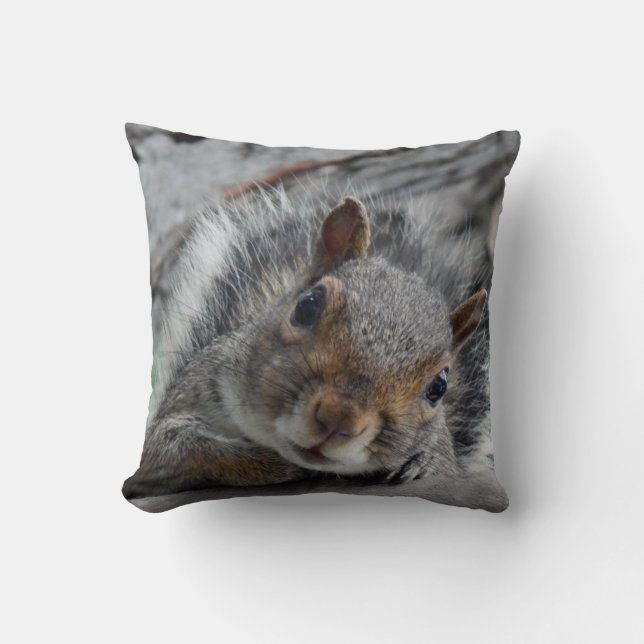 Hello squirrel cushion (Front)