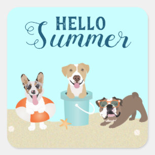Hello Summer Beach Dogs Blue Orange Square Sticker