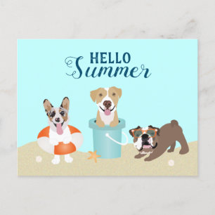 Hello Summer Beach Dogs Postcard