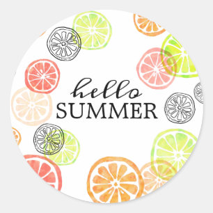 Hello Summer Colourful Citrus Fruit Slices Classic Round Sticker
