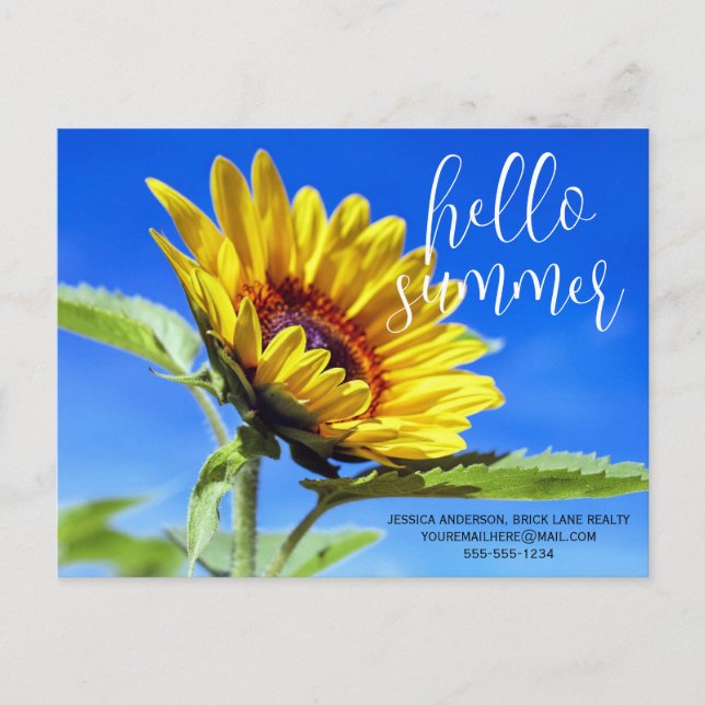 Hello Summer Promotional Business Sunflower Postcard (Front)