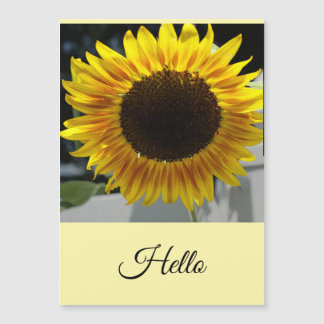 Hello Sunflower