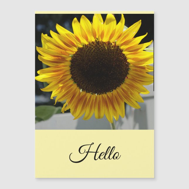 Hello Sunflower (Front)