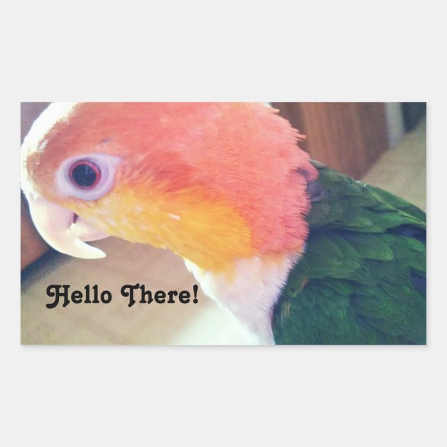 Hello There Bird Rectangular Sticker (Front)