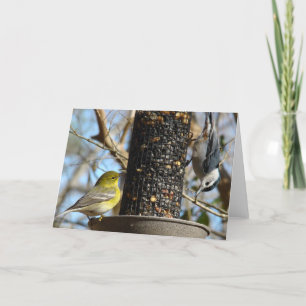 Hello There!  Blank inside Card