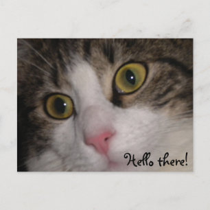 Hello there! greetingcard postcard