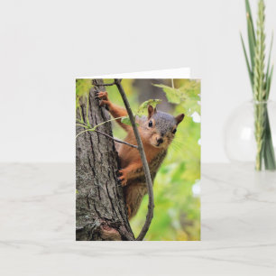 Hello There Note Card