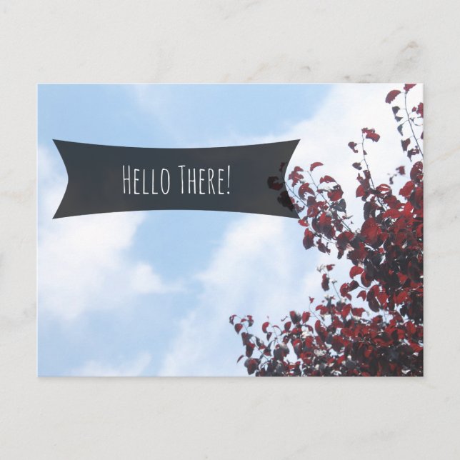 "Hello There" Pretty Blue Sky Red Leaves Postcard (Front)