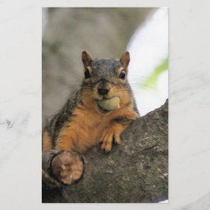 Hello there stationery