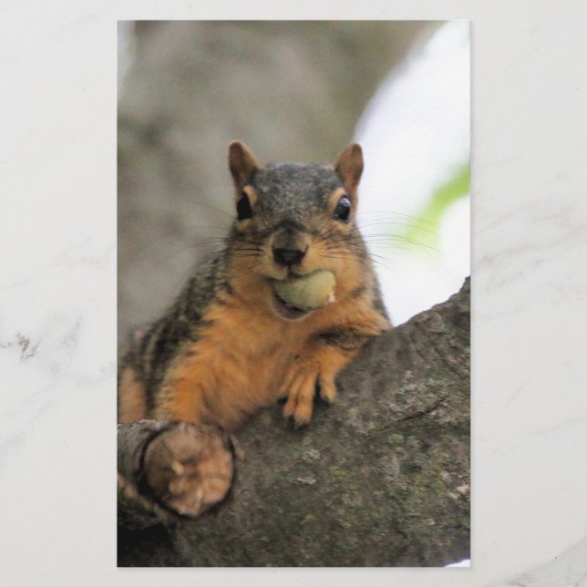 Hello there stationery (Front)