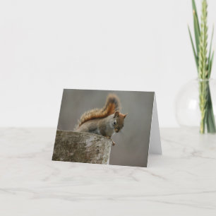 Hello There Thank You Card