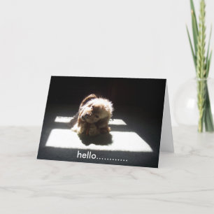 HELLO, THINKING OF YOU FRIENDS OR FAMILY CARD