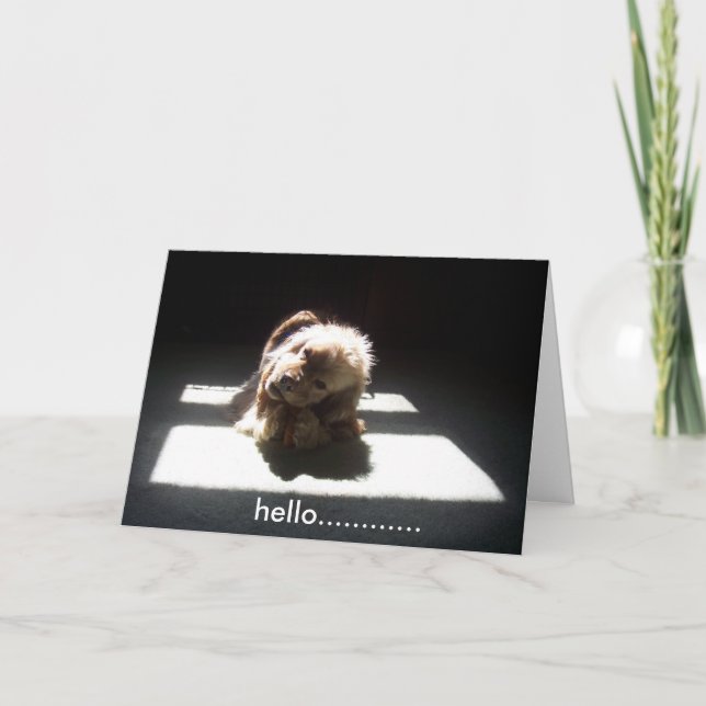 HELLO, THINKING OF YOU FRIENDS OR FAMILY CARD (Front)