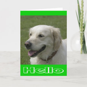 Hello, Thinking Of You Golden Retriever Puppy Card