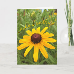 Hello Thinking of You Rudbeckia Flower Custom Card