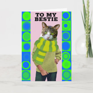 HELLO TO BEST FRIEND FUNNY CAT GREETING CARD