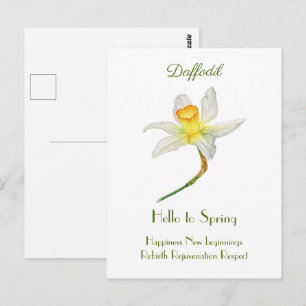 Hello to spring daffodil watercolor Postcard