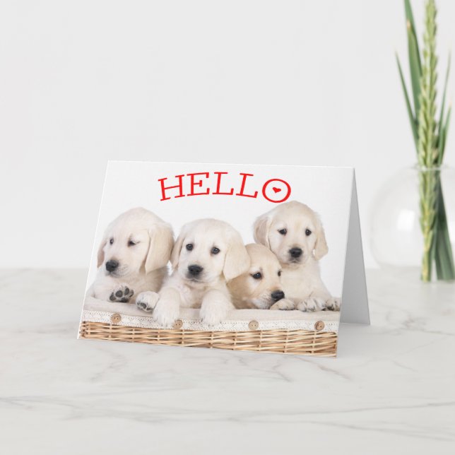 Hello White Labrador Retriever Puppy Dog Red Heart Card (Front)