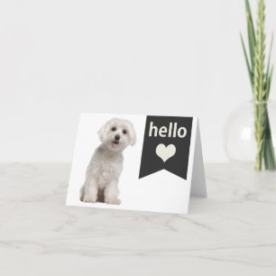 Hello White Maltese Puppy Dog Blank Note Card