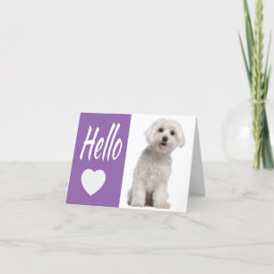 Hello White Maltese Puppy Dog Purple Heart Notecar Card