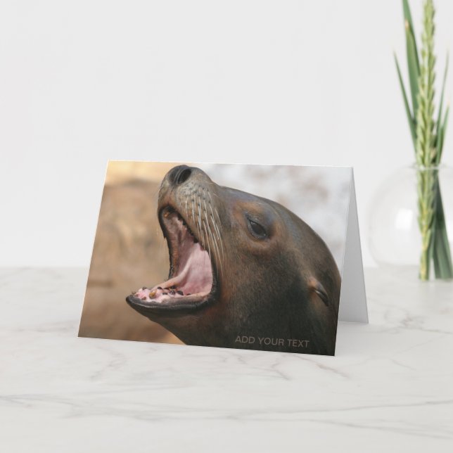 Hello! Wildlife Sea Lion Holiday Card (Front)
