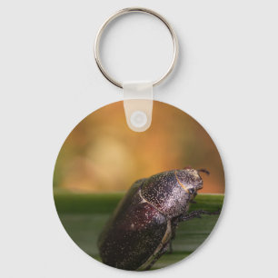 Hello World! Key Ring
