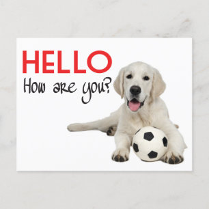 Hello Yellow Labrador Retriever Post Card