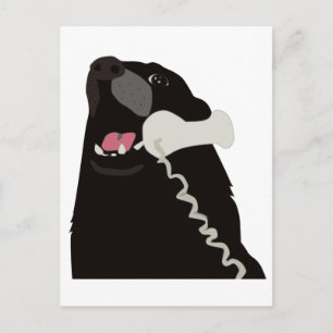 HELLO YES THIS IS DOG telephone phone Postcard