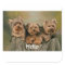 Hello Yorkshire Terrier Puppy Dog Greeting Sticker