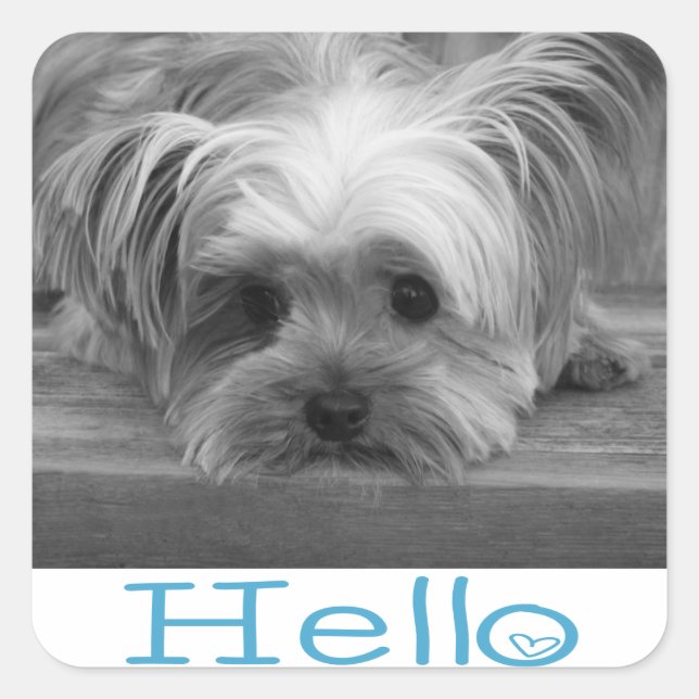 Hello Yorkshire Terrier Puppy Dog Greeting Sticker (Front)