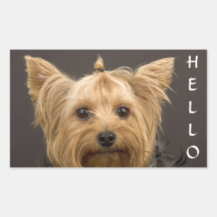 Hello Yorkshire Terrier Yorkie Puppy Dog Stickers