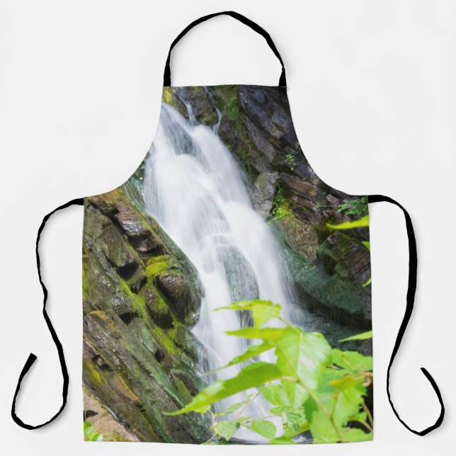 Hell's Gate Canyon waterfall Apron (Front)
